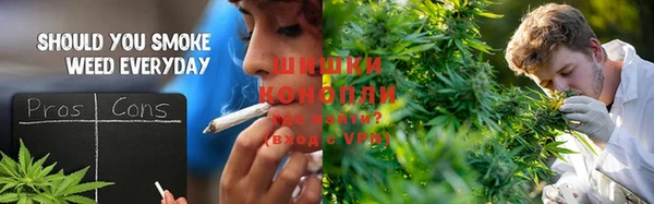 PSILOCYBIN Алзамай