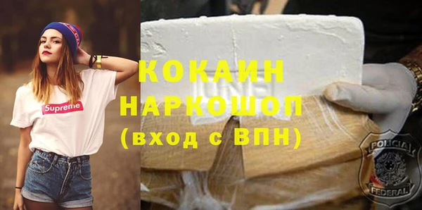 крисы Новозыбков