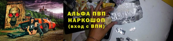 PSILOCYBIN Алзамай