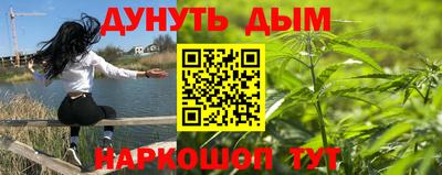 прущие грибы Новокубанск