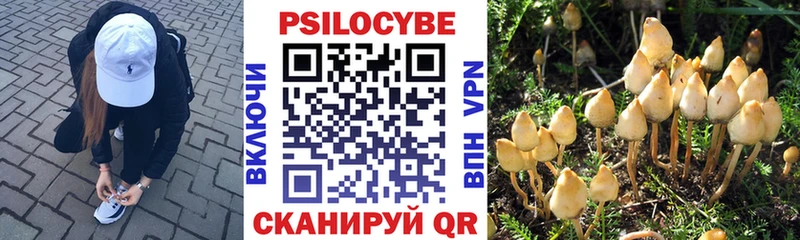 Псилоцибиновые грибы MAGIC MUSHROOMS  omg сайт  Подольск 
