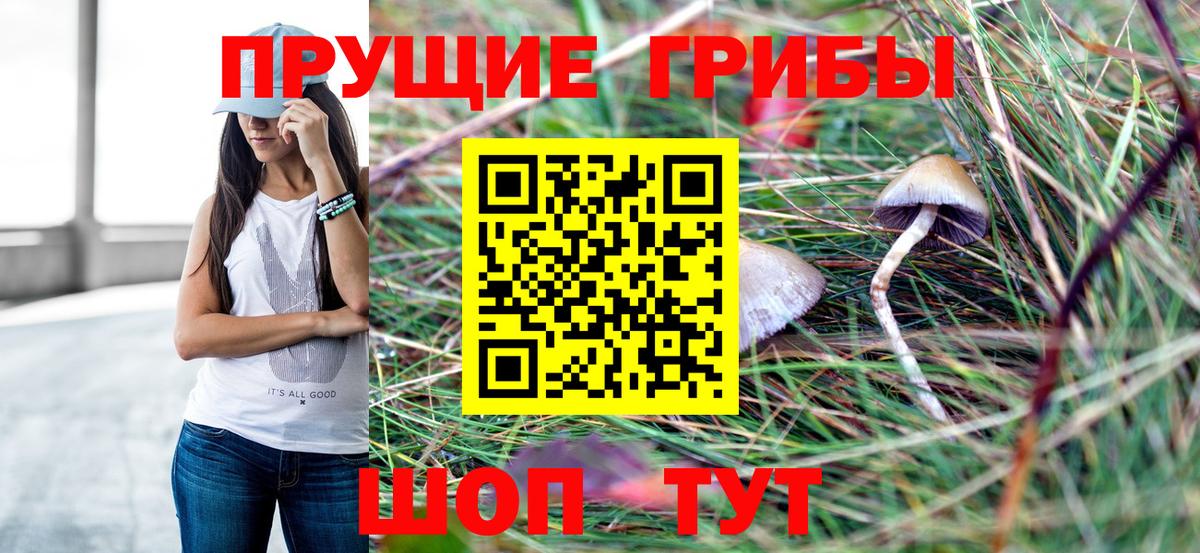 Галлюциногенные грибы прущие грибы Подольск
