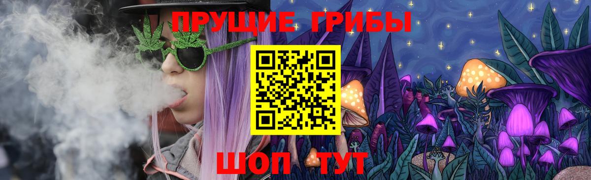 Псилоцибиновые грибы Psilocybine cubensis  Вход с VPN  Подольск 